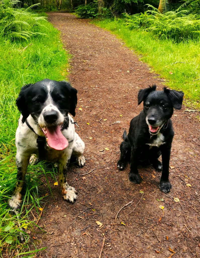 Iz and Guiness 2